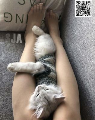 日韩亚州国产操逼片_高清免费观看最新
