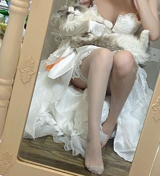 99视频精品在线观看2_蓝光原盘在线观看